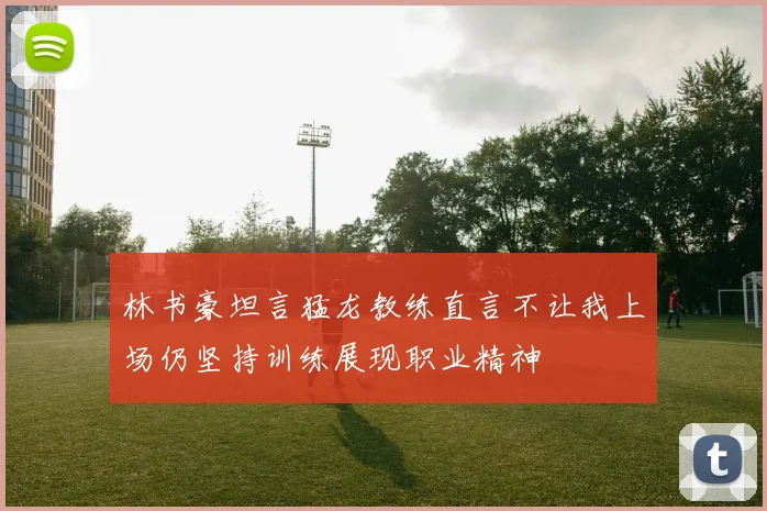 林书豪坦言猛龙教练直言不让我上场仍坚持训练展现职业精神