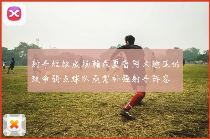 射手短缺成杨瀚森夏普阿夫迪亚的致命弱点球队亟需补强射手阵容