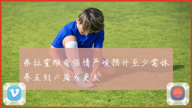 弗拉霍维奇伤情严峻预计至少需休养五到六周或更久