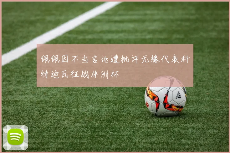 佩佩因不当言论遭批评无缘代表科特迪瓦征战非洲杯